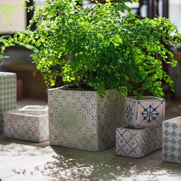 Cement planter set of 3 with blue geometric patterns; large square pot holding a lush green fern on Tampa Home & Garden Store