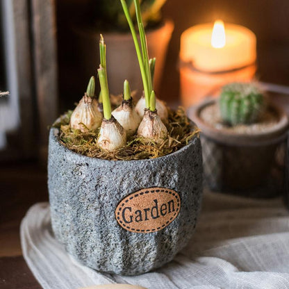 Cement stone garden planter in grey with a Garden label and mossy bulb shoots by RusticReach on Tampa Home & Garden Store
