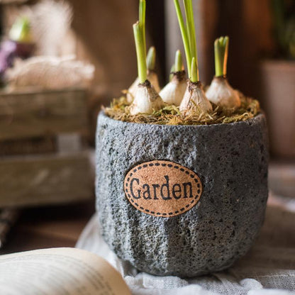 Cement Stone Tiny Garden Planter gray textured surface with multiple bulbs sprouting on Tampa Home & Garden Store