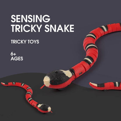 Interactive red and black striped snake cat toy with electric induction sensor; two snakes on Tampa Home & Garden Store