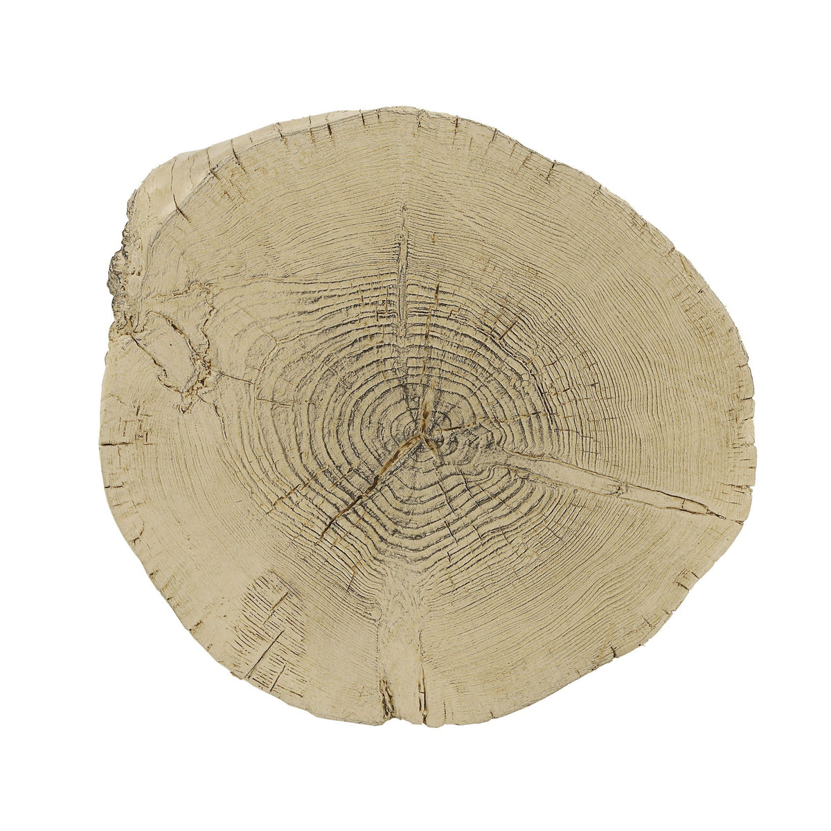 Brown Fiber Concrete Accent Table with Engineered Stone – Modern Rustic tree-ring wood slice motif on Tampa Home & Garden Store