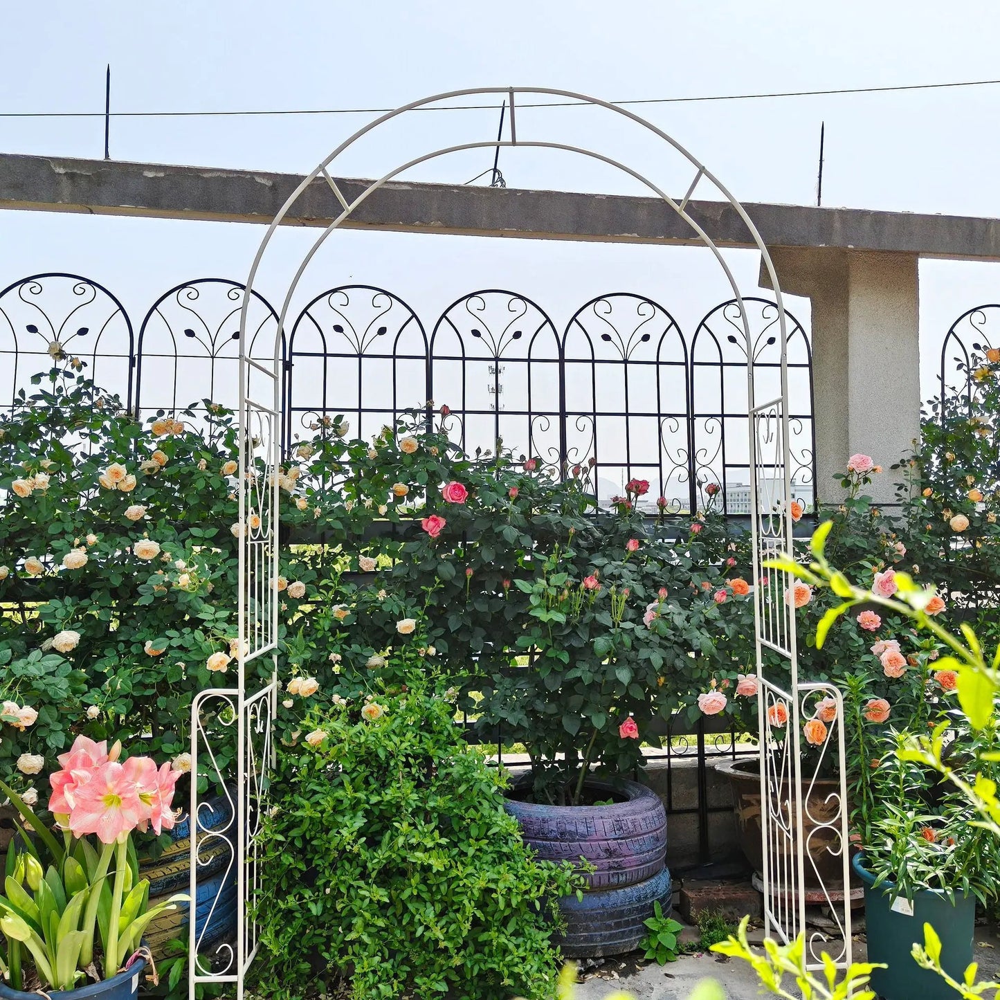 Metal Garden Arch Trellis for Climbing Roses