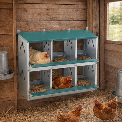 6 Room Galvanized Chicken Nesting Box for a Hutch