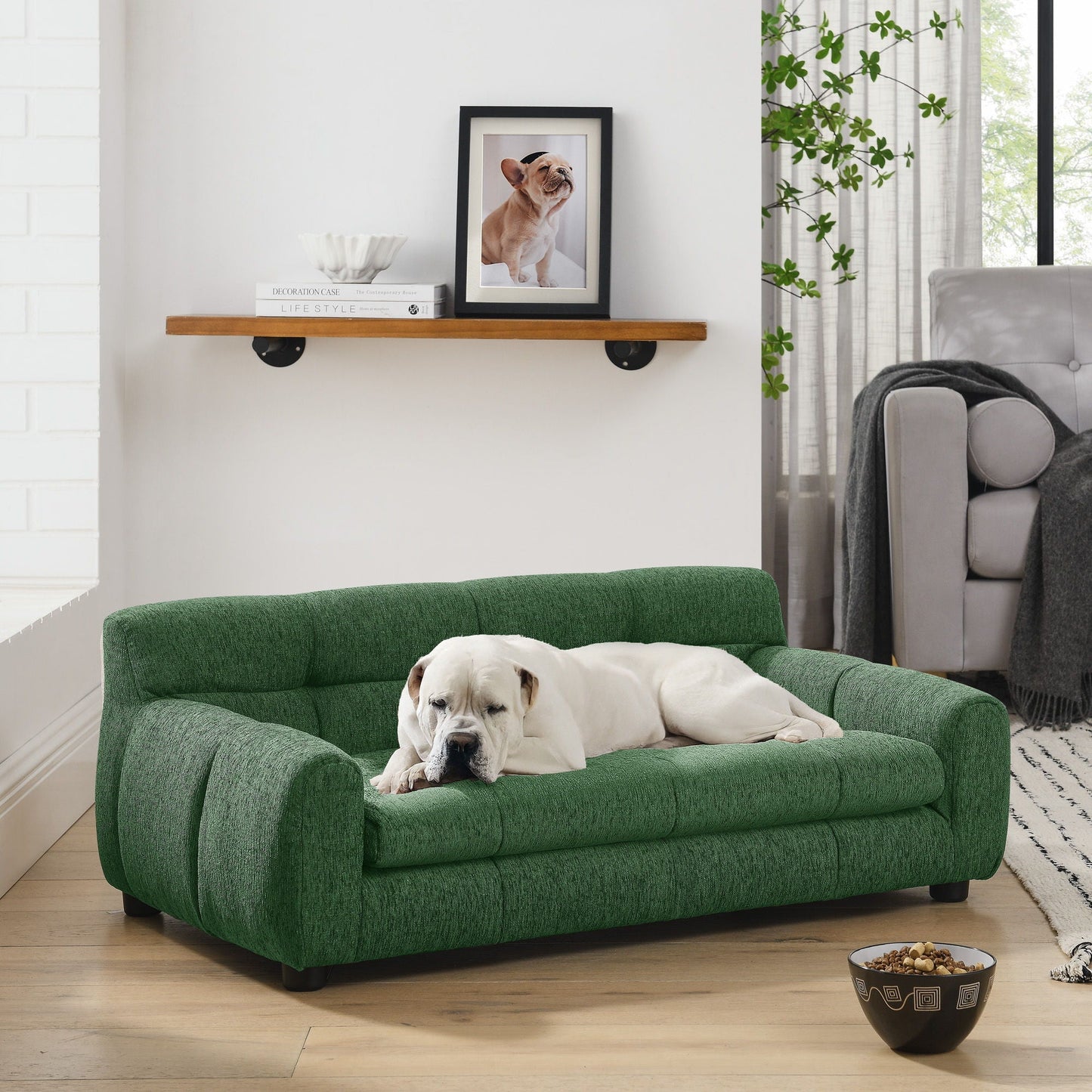 Modern Pet Sofa With Backrest And Armrests in green fabric by HouseOfZazla with dog resting on Tampa Home & Garden Store