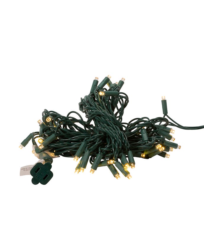 50-Light 5mm Warm White LED Green Wire Light Set on green wire The Country Christmas Loft on Tampa Home & Garden Store