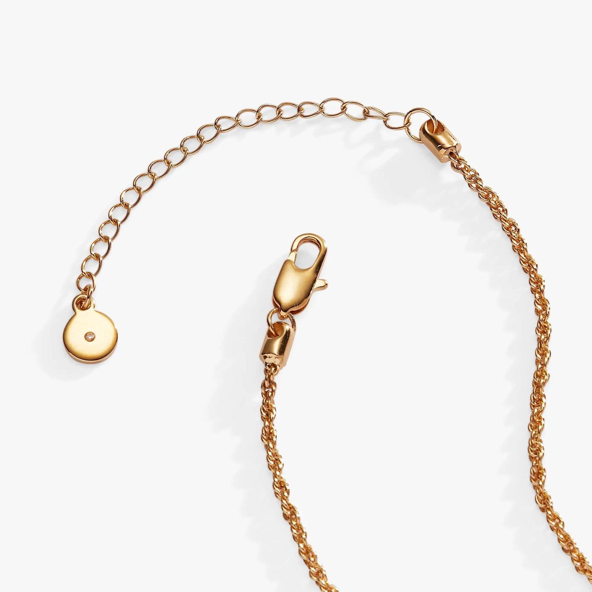 Necklace Chocolate-Covered Strawberry Duo Charm Pendant by ALEX AND ANI in rose gold tone on Tampa Home & Garden Store