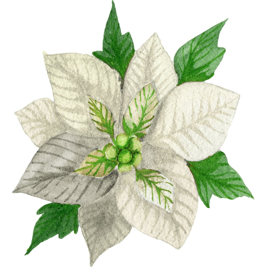 Christmas Sign, White Poinsettia, wood sign, DECOE-W-903433, 22" Door Hanger
