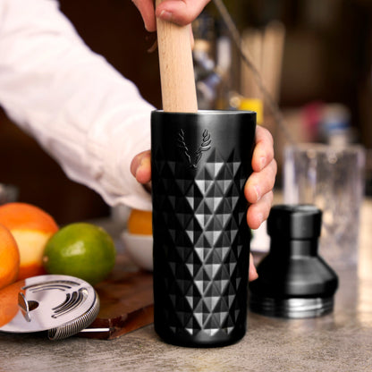 Paragon Stainless Steel Cocktail Shaker and Tin