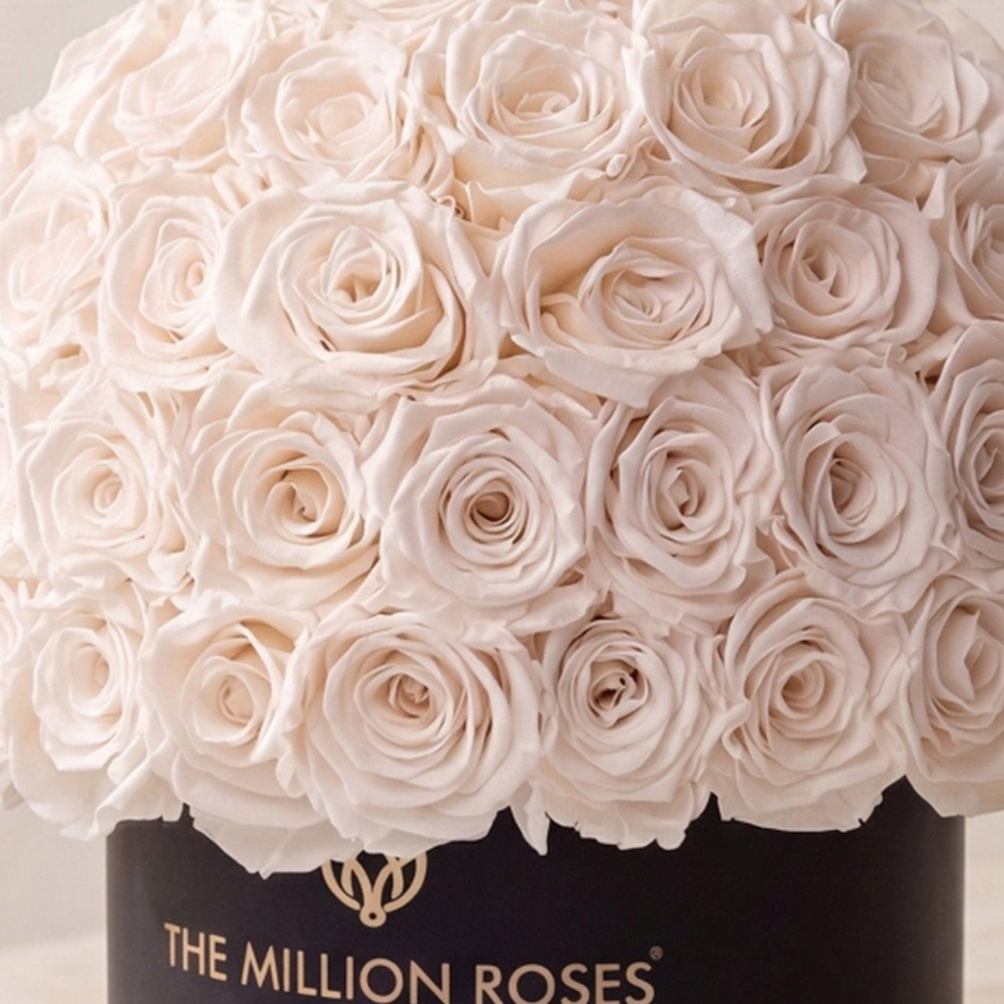 Classic black Superdome box filled with white roses by The Million Roses on Tampa Home & Garden Store