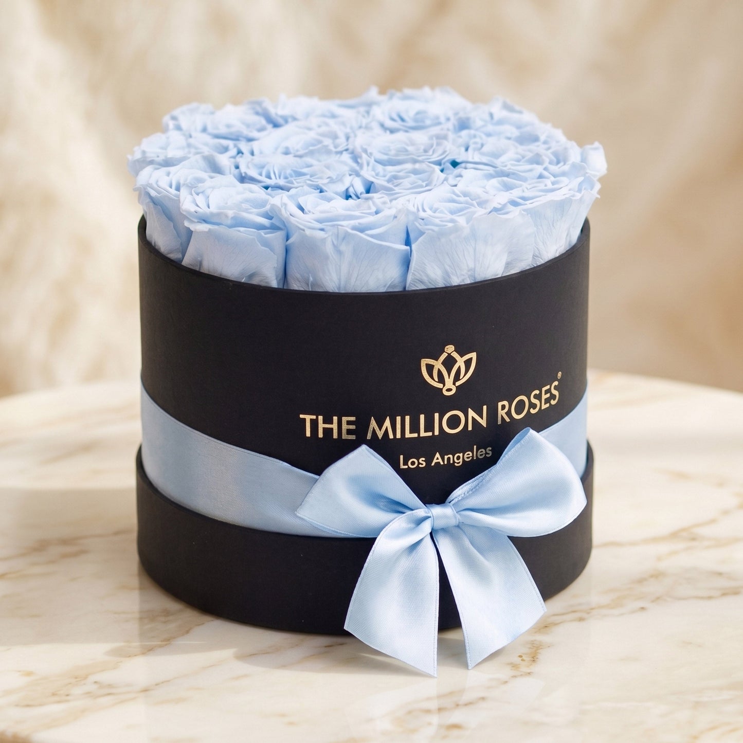 Classic Black Box light blue roses from The Million Roses in a box with pale blue ribbon on Tampa Home & Garden Store