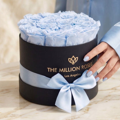 Classic Black Box with Light Blue Roses in a black cylinder box, The Million Roses, blue ribbon on Tampa Home & Garden Store