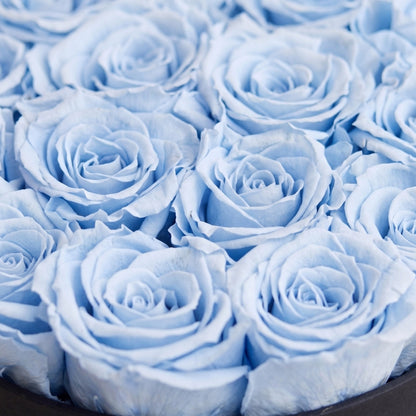 Classic Black Box Light Blue Roses bouquet by The Million Roses on Tampa Home & Garden Store