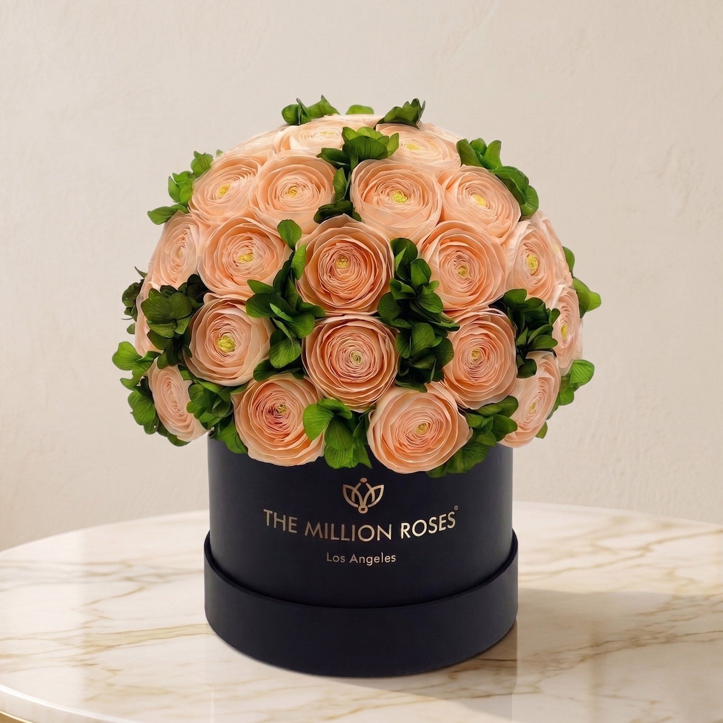 Classic Black Box bouquet by Million Roses: peach Persian buttercups with green hydrangeas on Tampa Home & Garden Store