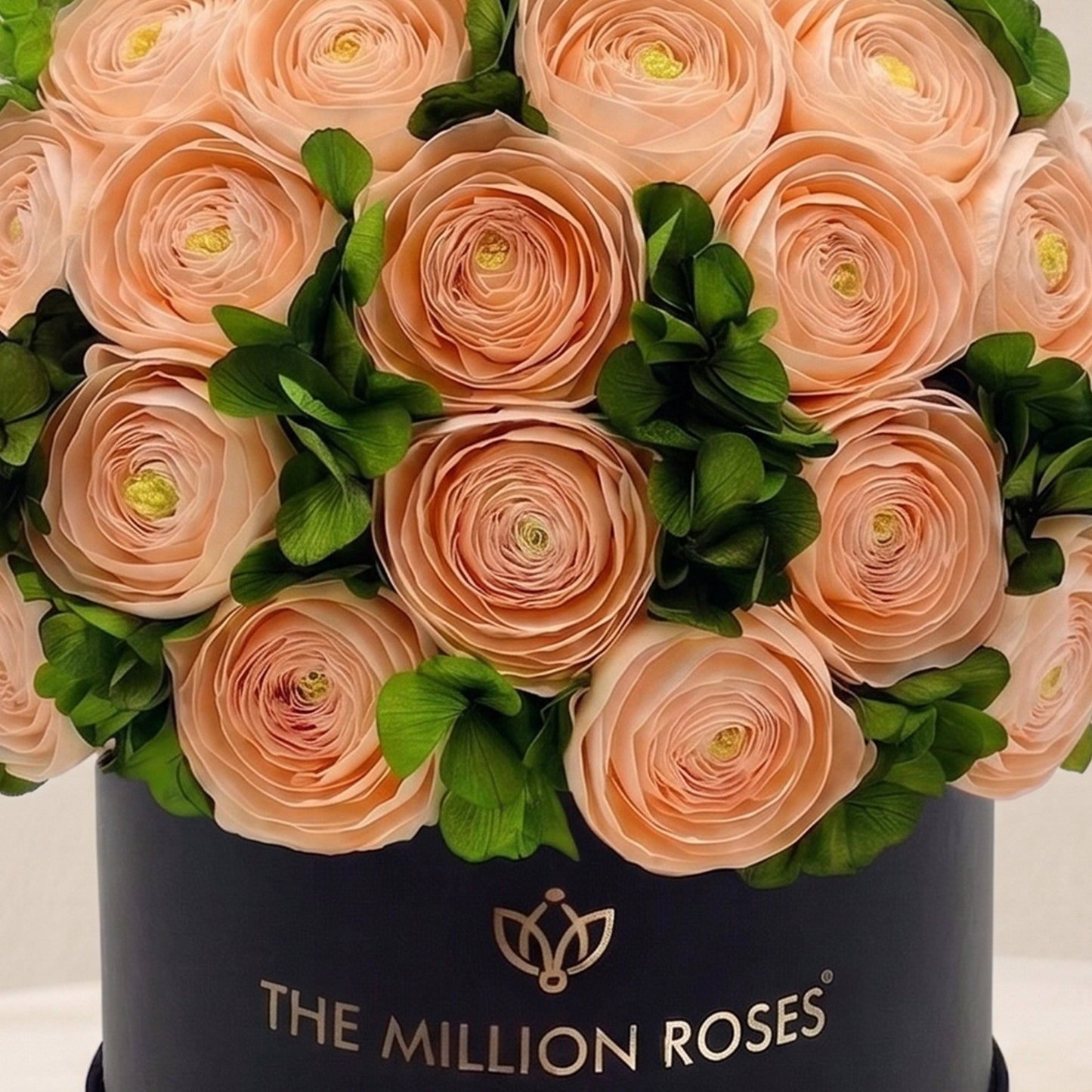 Classic Black Box with peach Persian buttercups and green hydrangeas by The Million Roses on Tampa Home & Garden Store