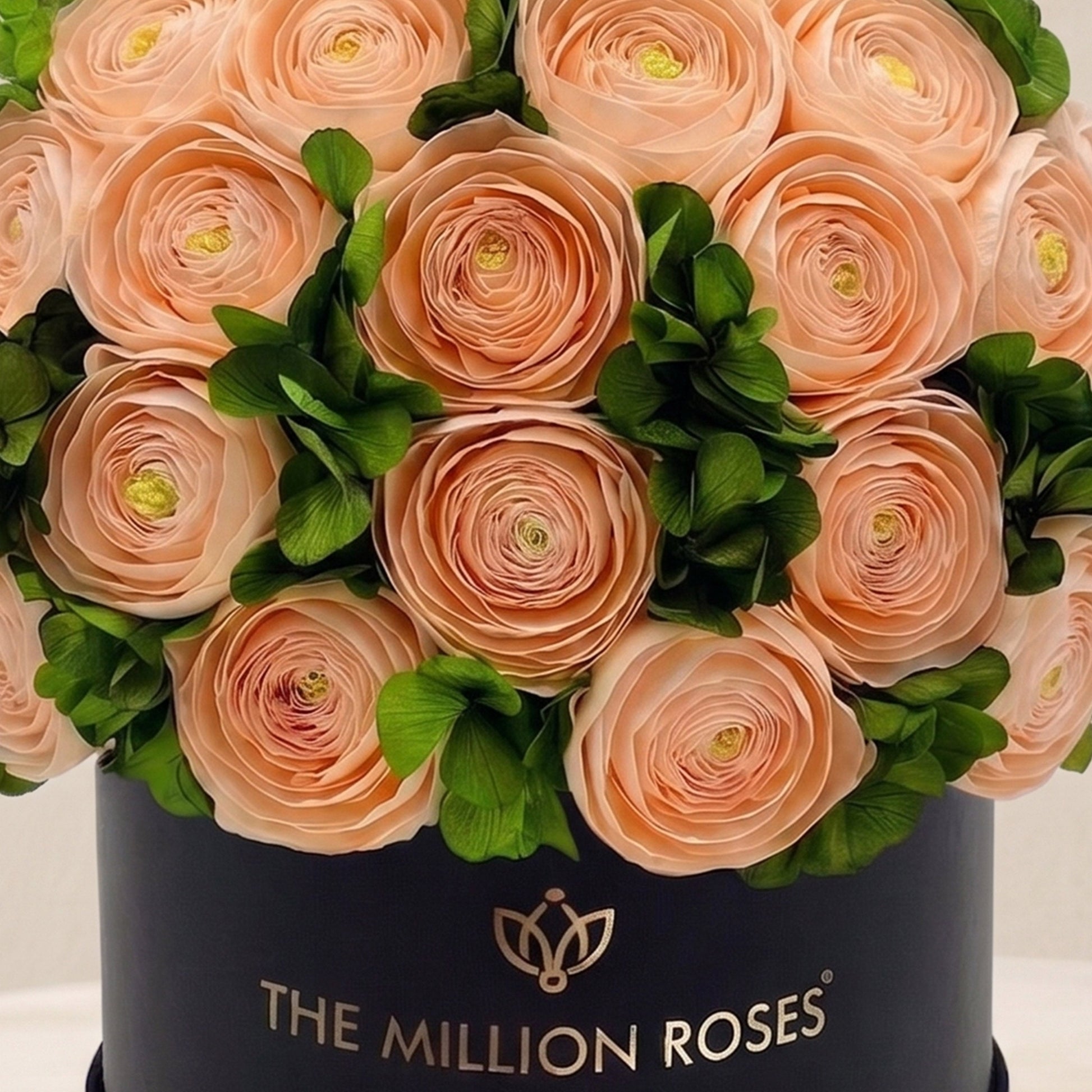 Classic Black Box with peach Persian buttercups and green hydrangeas by The Million Roses on Tampa Home & Garden Store
