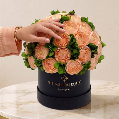 Peach Persian buttercups with green hydrangeas in a classic black box by The Million Roses on Tampa Home & Garden Store