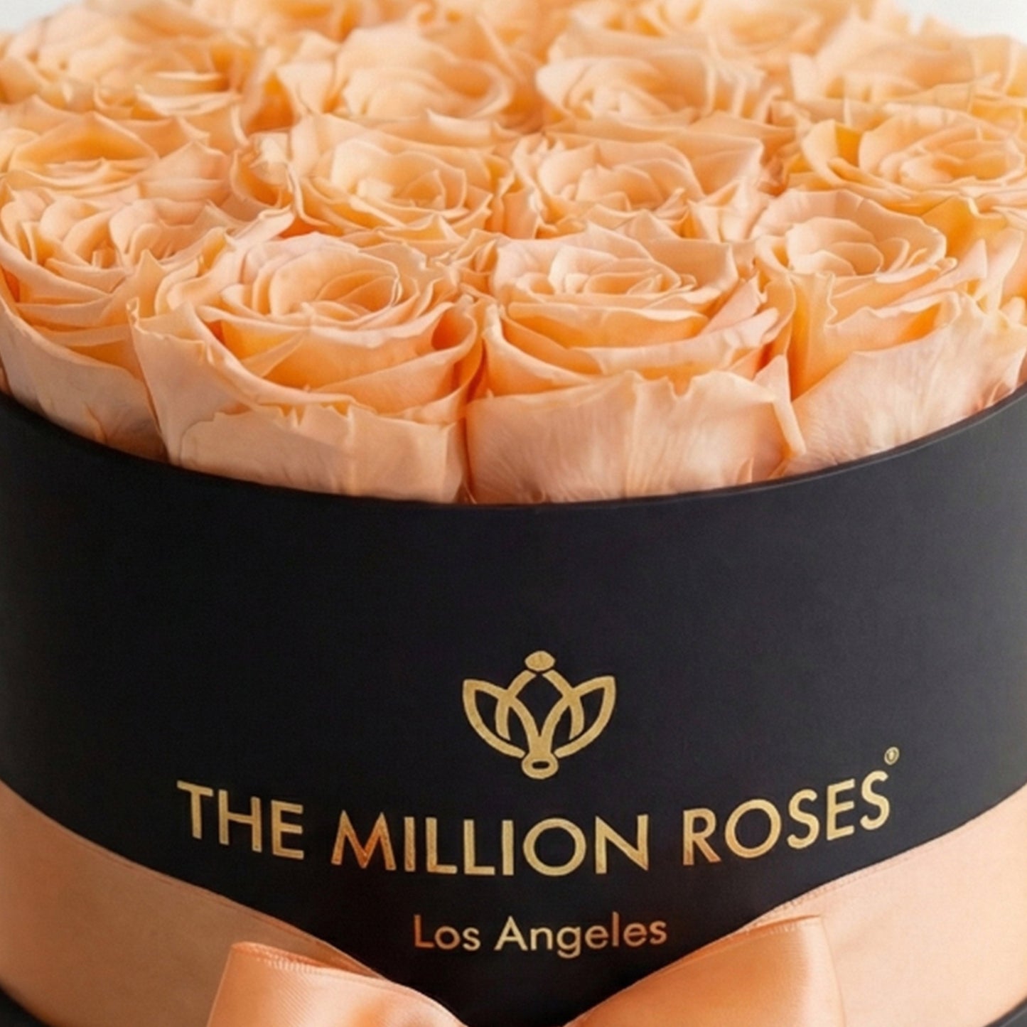 Classic Black Box Peach Roses bouquet in a slick black container by The Million Roses on Tampa Home & Garden Store