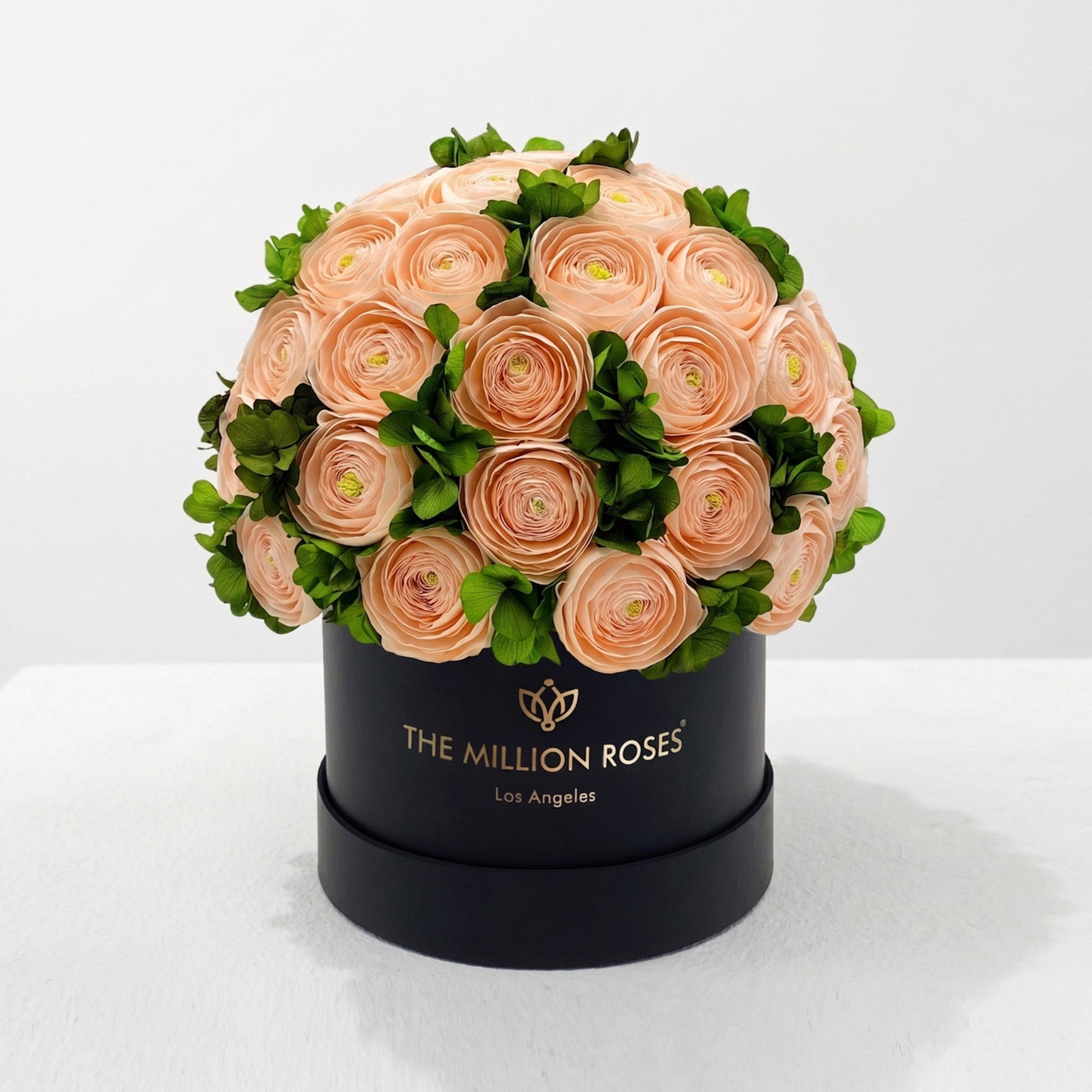 Classic Black Box peach Persian buttercups with green hydrangea in a Million Roses box on Tampa Home & Garden Store