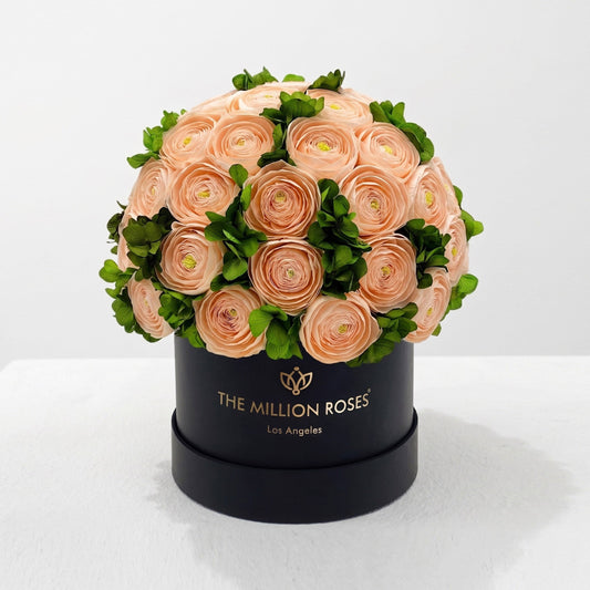 Classic Black Box peach Persian buttercups with green hydrangea in a Million Roses box on Tampa Home & Garden Store