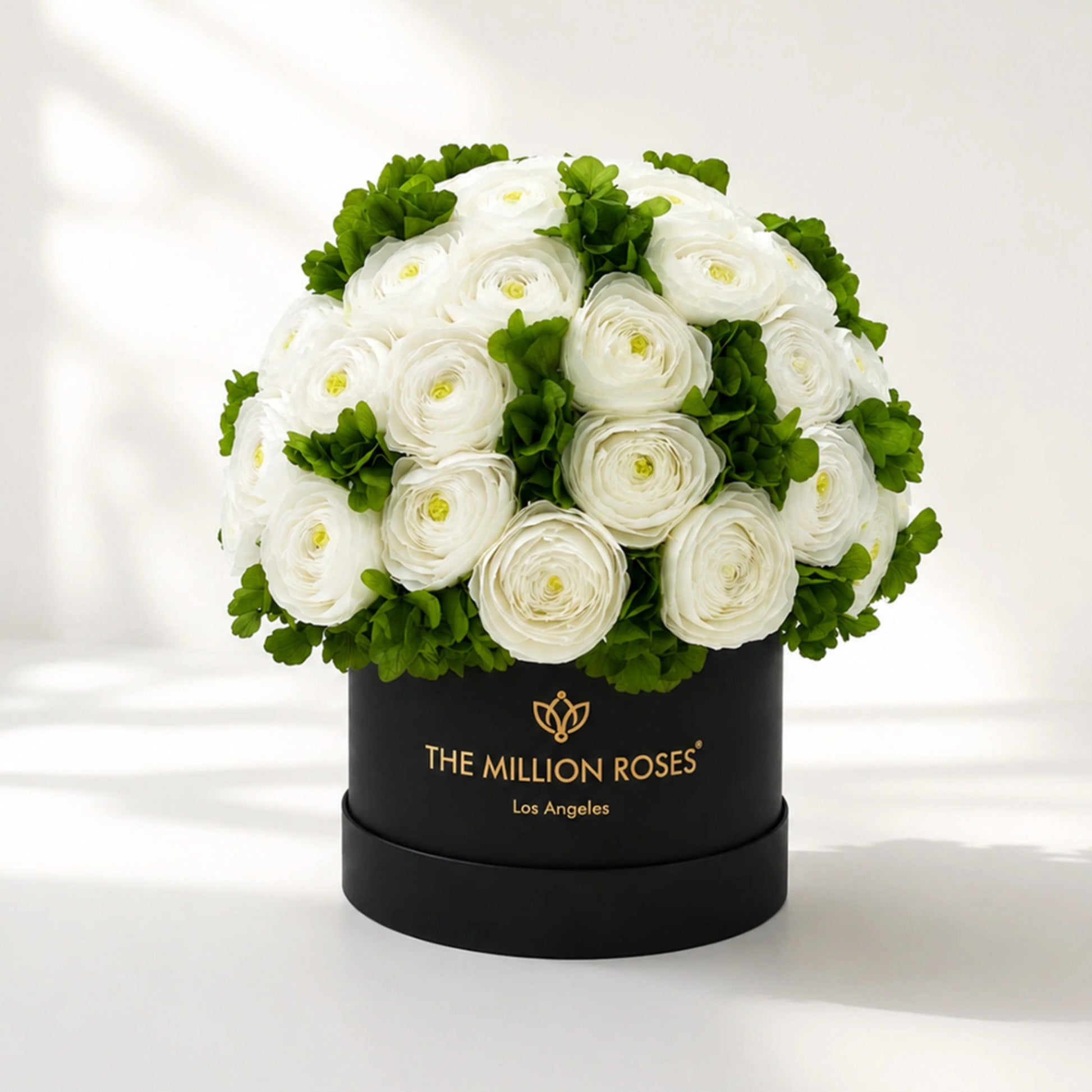 Classic Black Box bouquet of white buttercups and green hydrangeas by The Million Roses on Tampa Home & Garden Store