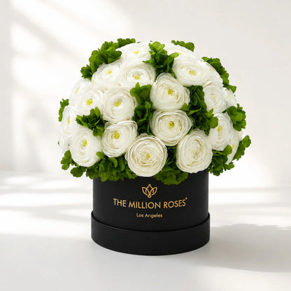 Classic Black Box bouquet of white buttercups and green hydrangeas by The Million Roses on Tampa Home & Garden Store
