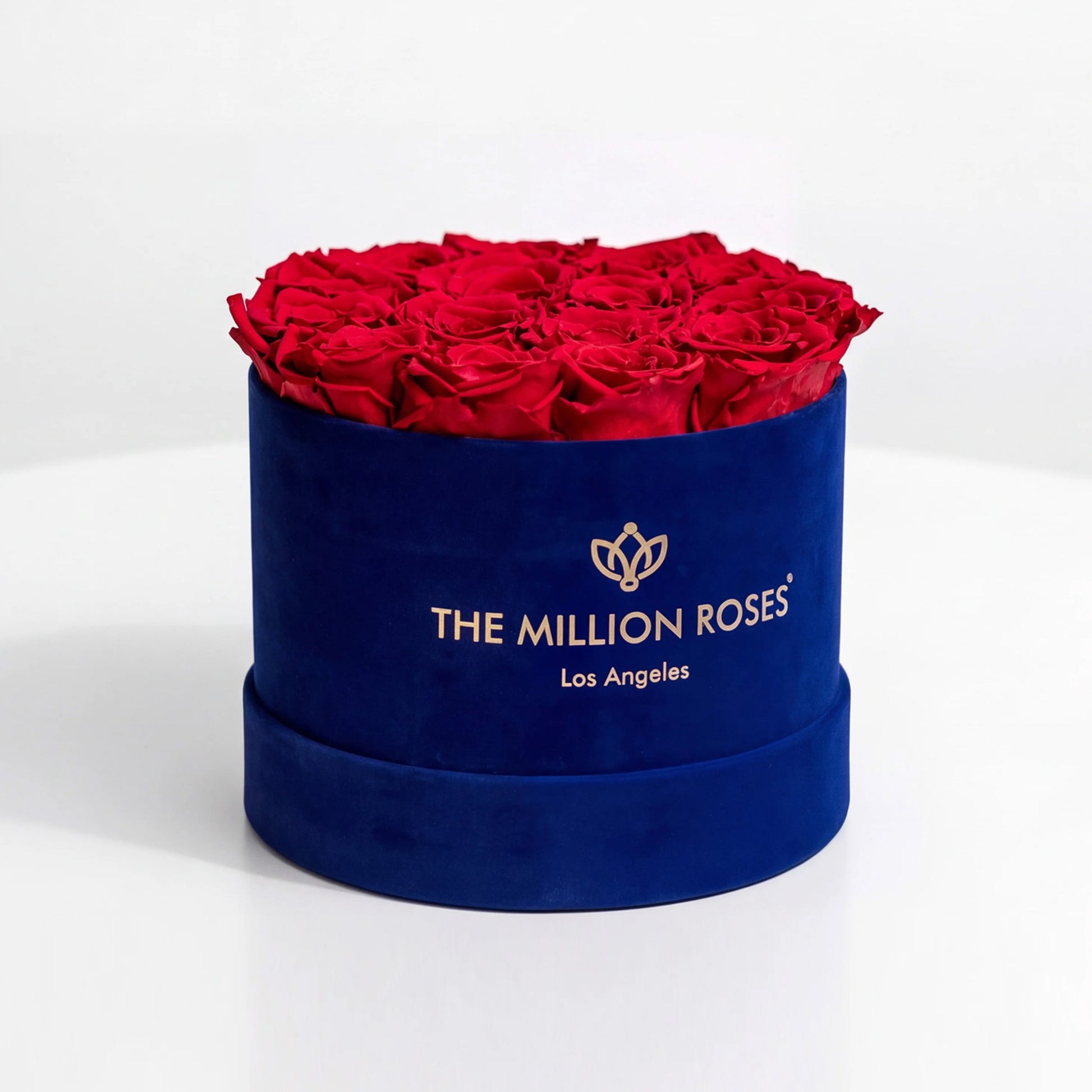 Royal blue suede box filled with red roses by The Million Roses on Tampa Home & Garden Store