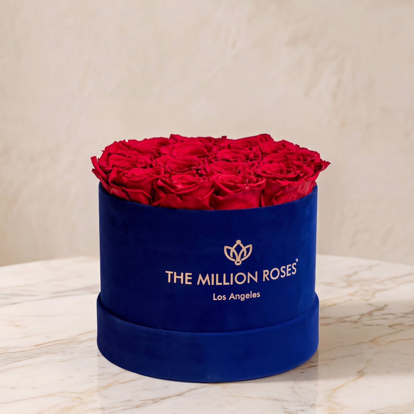Classic royal blue suede box filled with vivid red roses by The Million Roses on Tampa Home & Garden Store