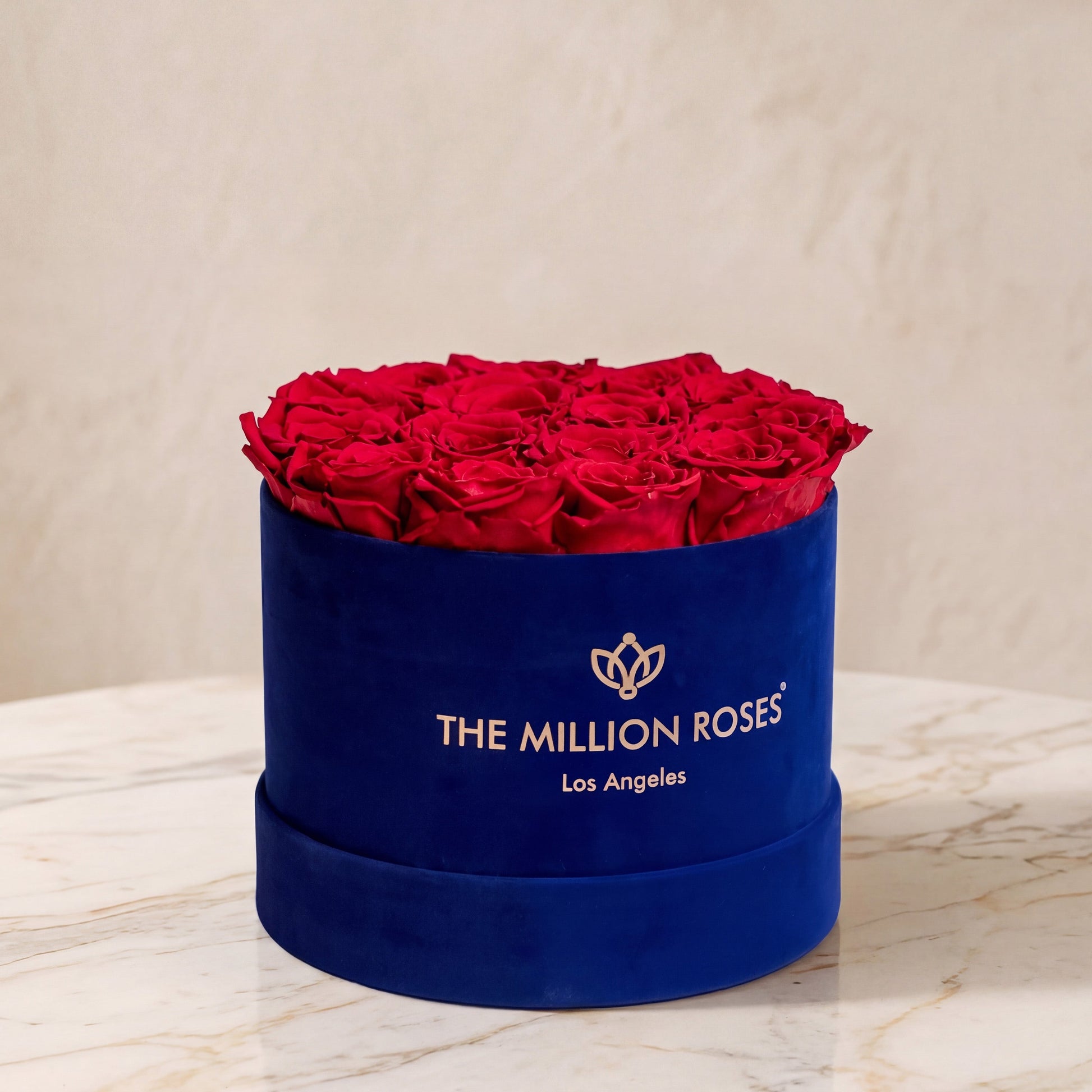 Classic royal blue suede box filled with vivid red roses by The Million Roses on Tampa Home & Garden Store