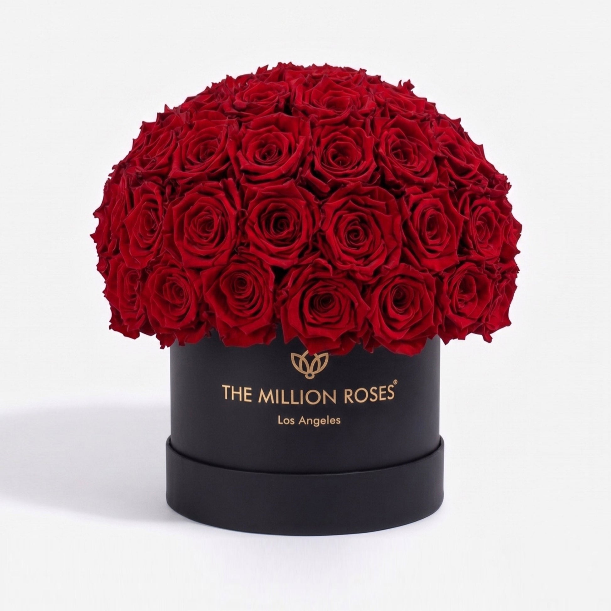 Classic Black Superdome Box Red Roses bouquet by The Million Roses on Tampa Home & Garden Store