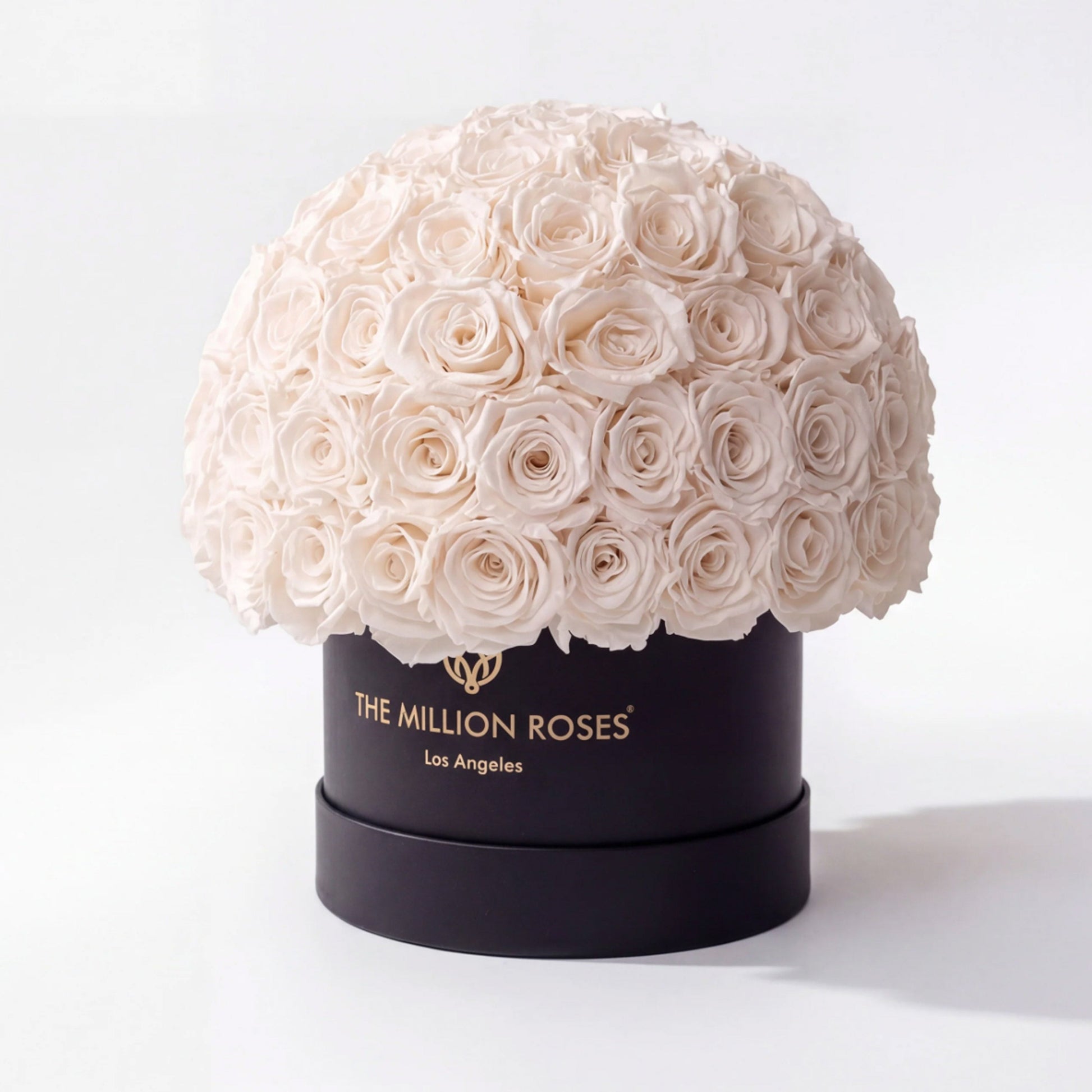 White rose sphere atop a black The Million Roses Superdome box on Tampa Home & Garden Store