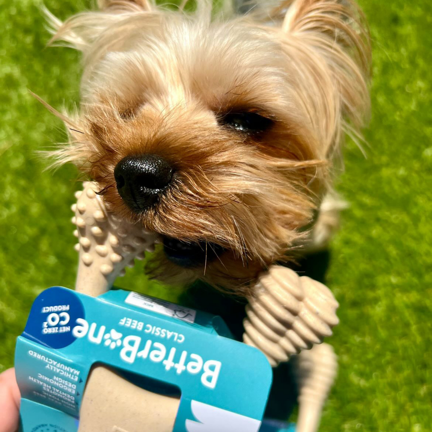 Jouet à mâcher BetterBone SOFT Durability : Ingrédients naturels, idéal pour les chiots qui font leurs dents, les chiens âgés et les chiens à la mâchoire douce.