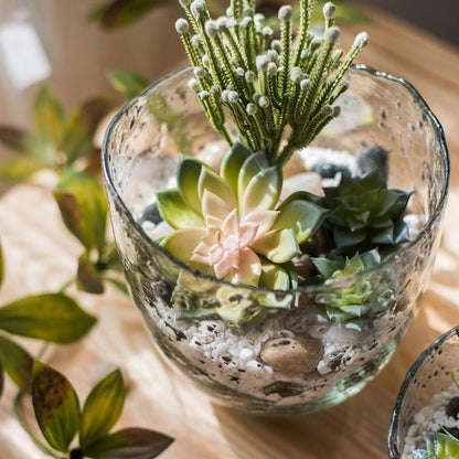 Clear Art Glass Vase with succulent arrangement RusticReach on Tampa Home & Garden Store