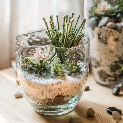 Clear art glass vase by RusticReach with succulents, cactus stems and white gravel layers on Tampa Home & Garden Store