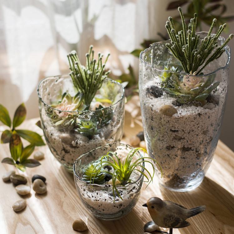 Clear Art Glass Vases (3) by RusticReach with succulents and air plants in white gravel on Tampa Home & Garden Store