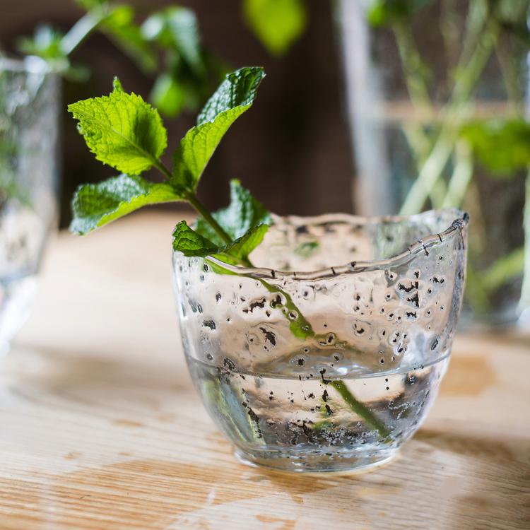 Clear art glass vase with bubble texture by RusticReach, mint sprig inside on Tampa Home & Garden Store