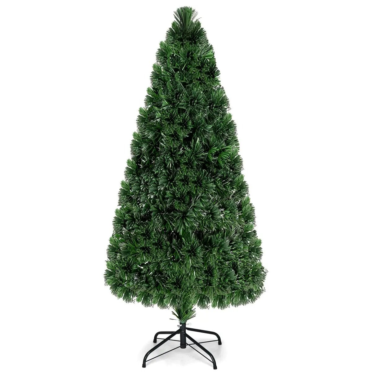 - image on Tampa Home & Garden Store