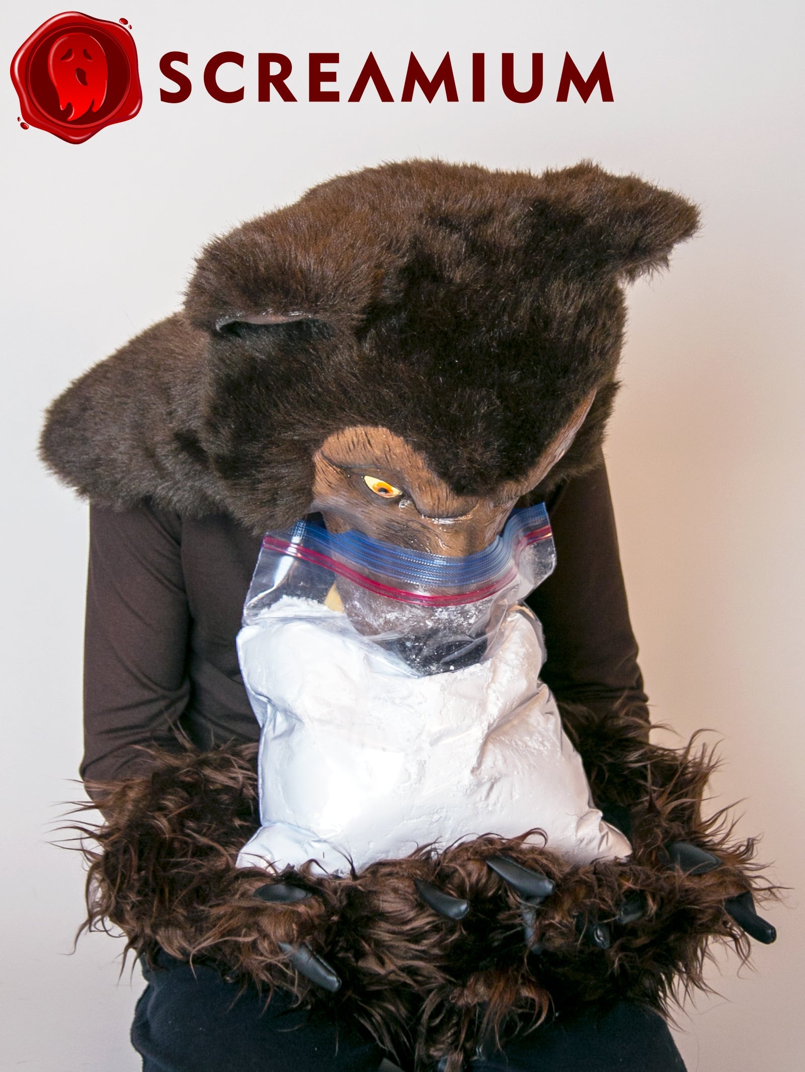 Cocaine Bear Costume brown bear helmet and paws by SCREAMIUM Halloween mask set on Tampa Home & Garden Store