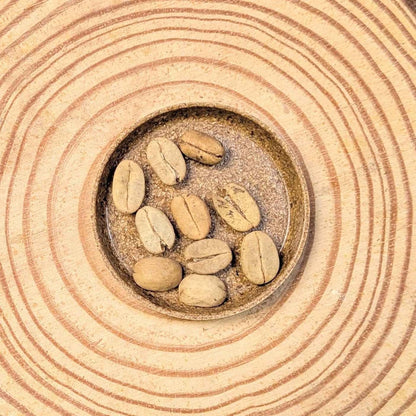 Semillas de Coffea 'Planta de café'