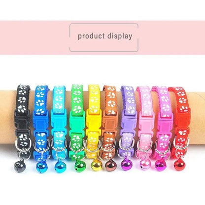 Colorful adjustable dog collars with paw print pattern and bells on Tampa Home & Garden Store