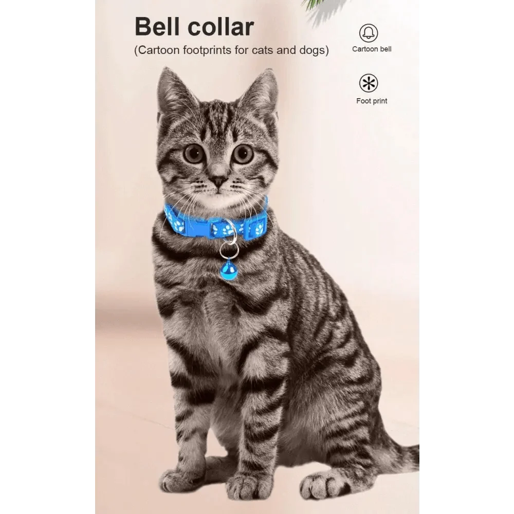 Blue nylon pet collar with cute footprint print and small bell worn by a tabby cat on Tampa Home & Garden Store
