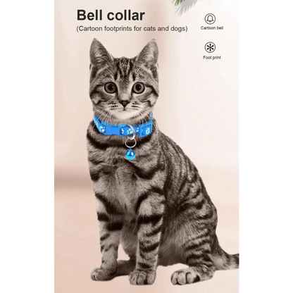 Blue nylon pet collar with cute footprint print and small bell worn by a tabby cat on Tampa Home & Garden Store