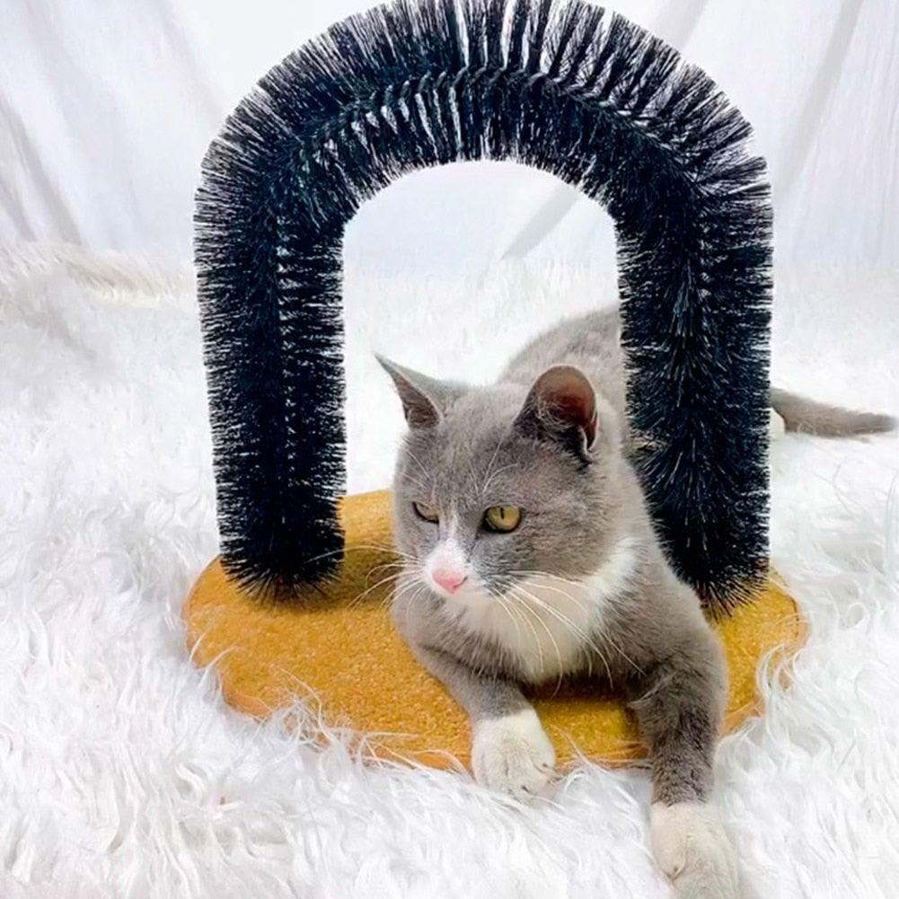Stevvex cat massager arch brush with black bristles over orange carpet base on Tampa Home & Garden Store