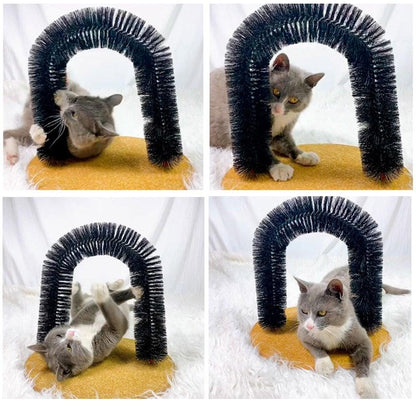 Stevvex cat massager arch toy with black bristle ring on orange carpet base on Tampa Home & Garden Store