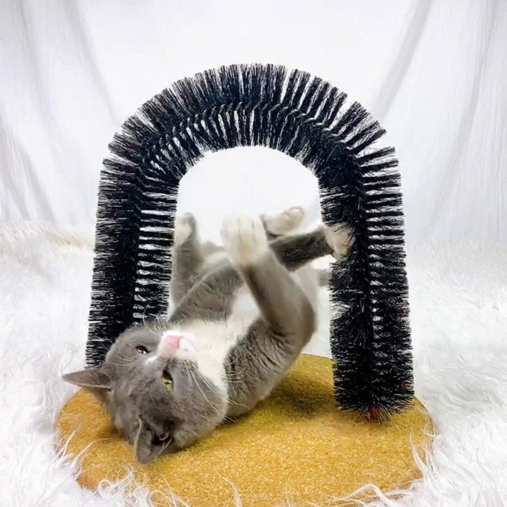 Stevvex black arch cat massager with bristle brush on beige carpet base on Tampa Home & Garden Store