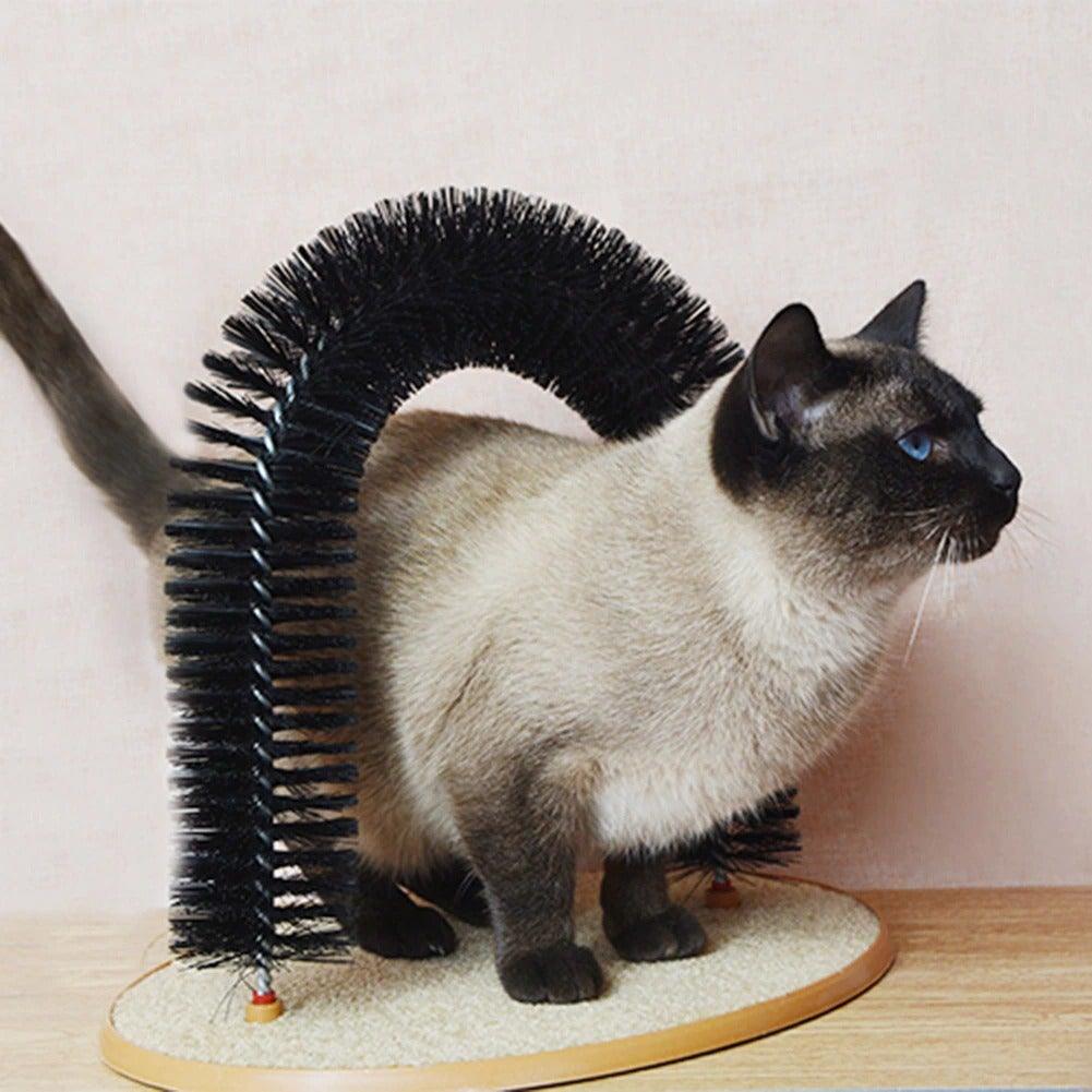 Stevvex arch cat massager grooming brush with black bristle ring on beige carpet base on Tampa Home & Garden Store