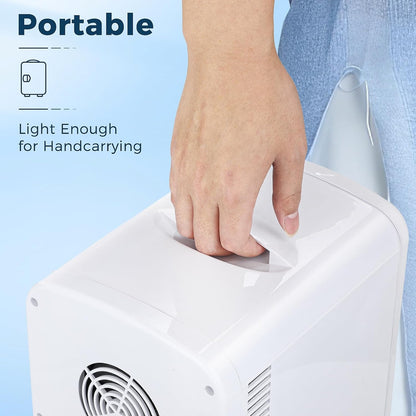 Réfrigérateur compact, mini-frigo portable, soins de la peau, capacité 4 L/6 canettes F3404 