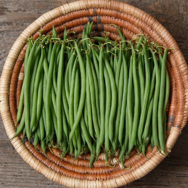 Compass Haricot Vert bean seeds; green haricot beans in a woven basket on Tampa Home & Garden Store