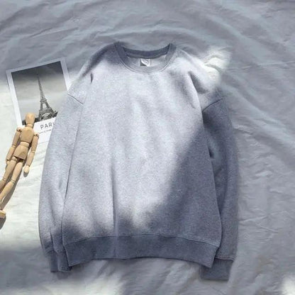 Pullover sweatshirt Stevvex gray, long sleeves, round neck casual streetwear ST23SW294JEU on Tampa Home & Garden Store