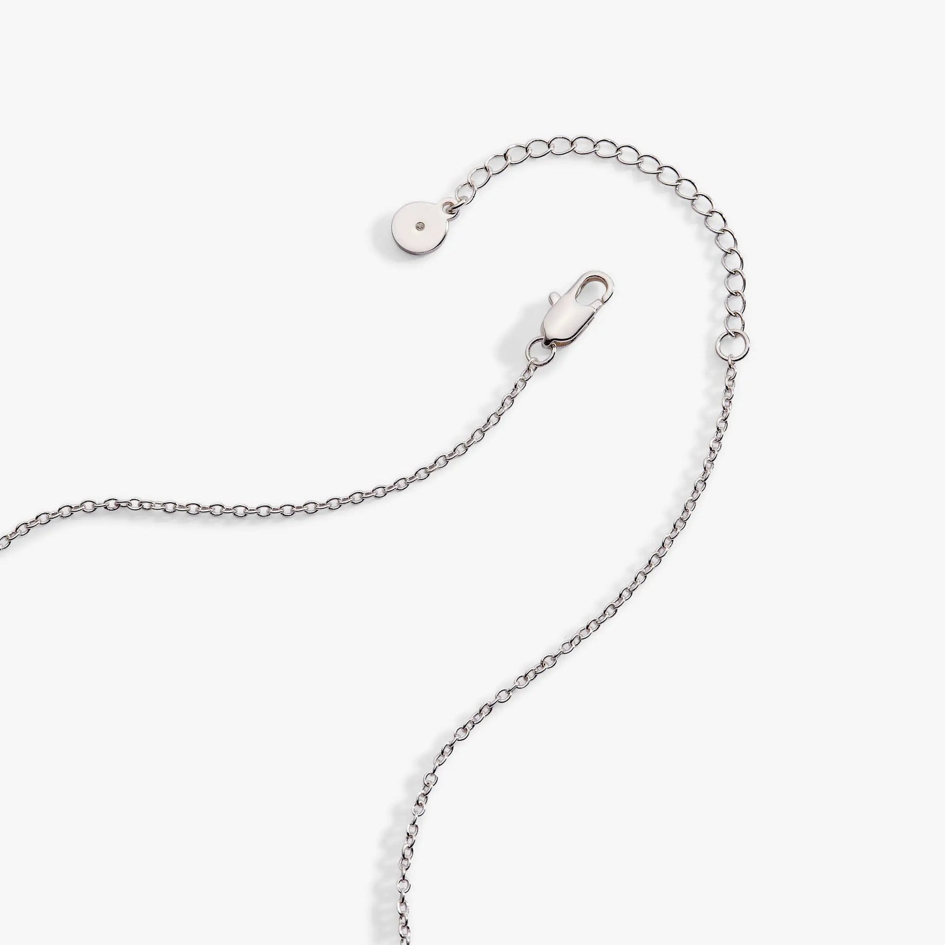 Cosmic Cowgirl Y Necklace by ALEX AND ANI, silver-tone chain with round disc charm on Tampa Home & Garden Store