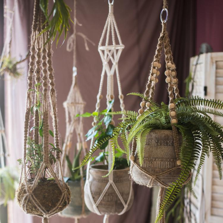 Cotton hemp rope planter hanger set of 4 macrame plant hangers with lush ferns by RusticReach on Tampa Home & Garden Store